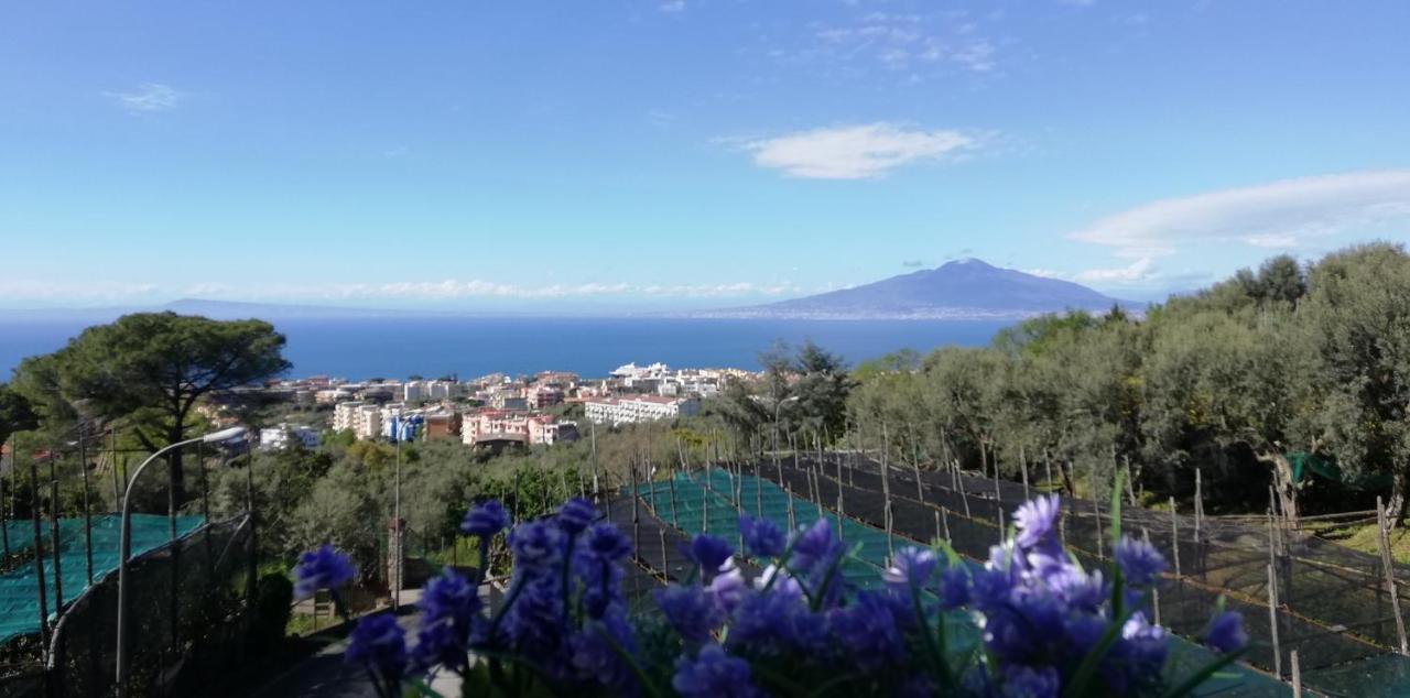 Sorrento Dolce Casa Apartment Luaran gambar